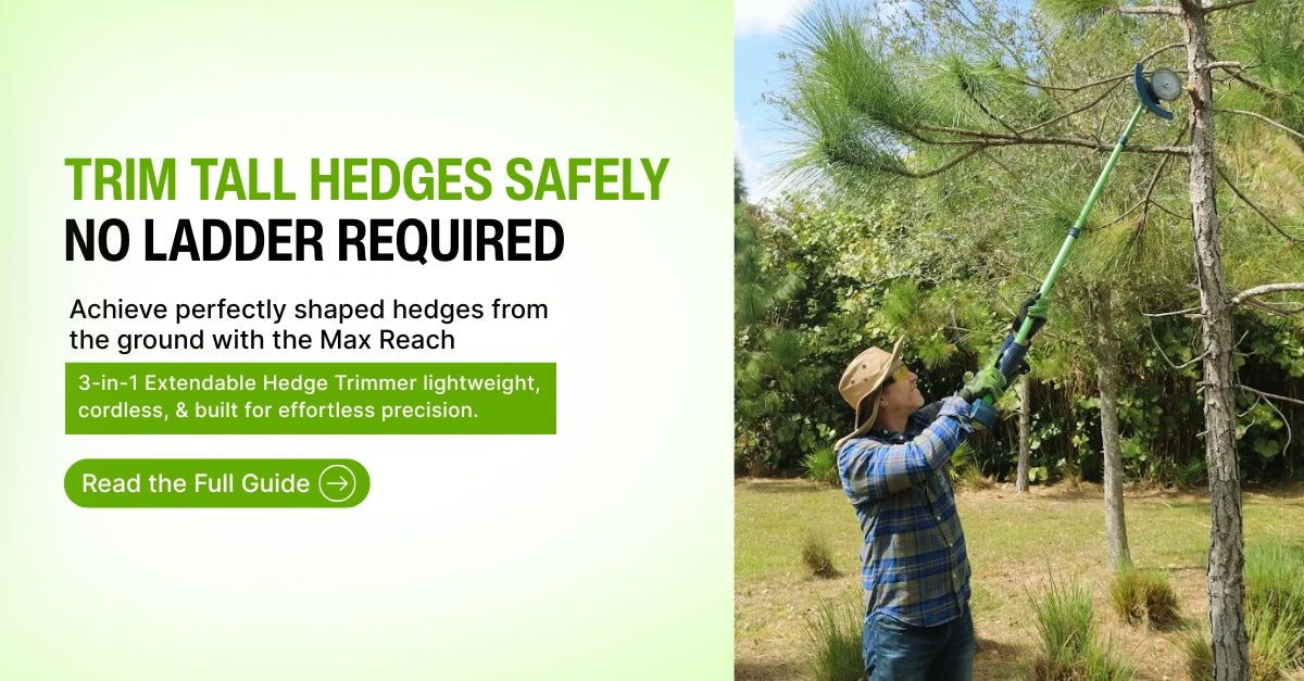 How to Trim Hedges Safely Without a Ladder – Expert Tips