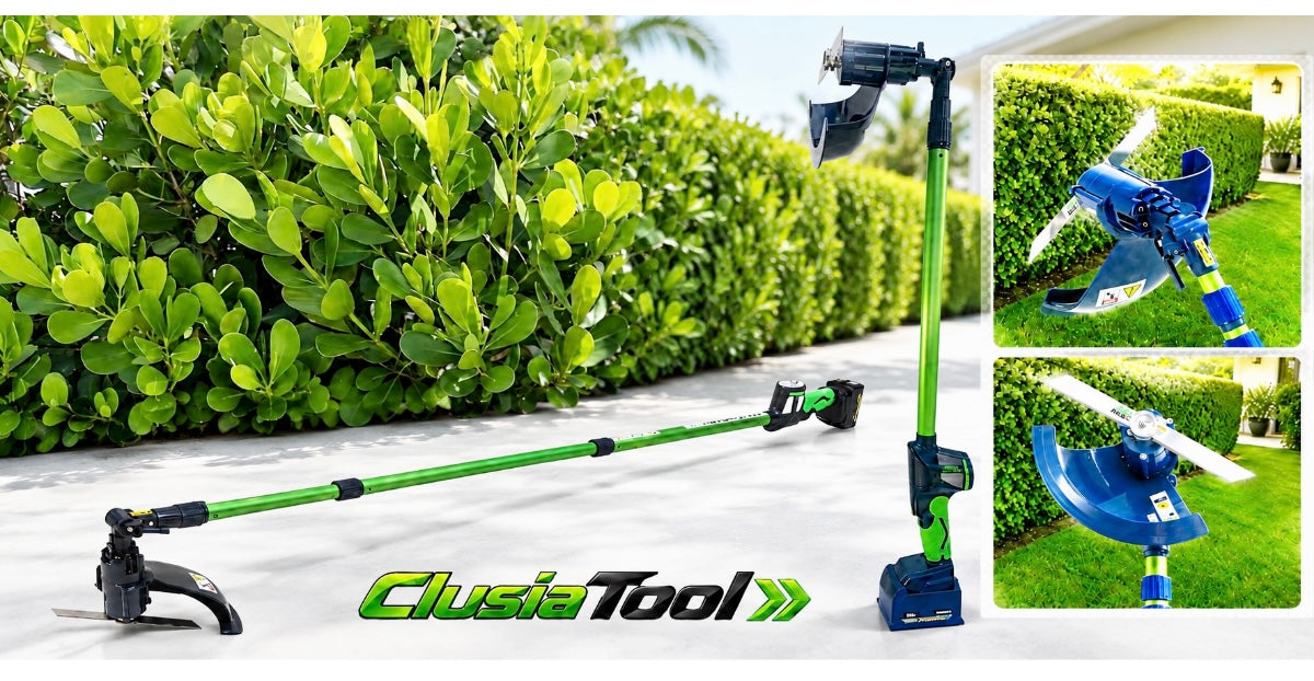 How to Properly Trim Clusia: Why Clean Cuts Matter